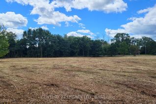 Land for Sale, 1278 Hwy 5 Frwy W, Hamilton, ON