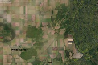 Commercial Farm for Sale, East Carrot River 1/2 Section Grain, Moose Range Rm No. 486, SK