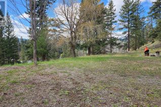 Commercial Land for Sale, 306 Jacobson Road, Princeton, BC