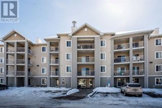 Condo Apartment for Sale, 1620 70 Street Se #3314, Calgary, AB