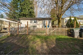 Detached House for Sale, 10716 141 Street, Surrey, BC