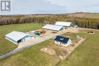 Commercial Farm for Sale, 382367 Concession 4 Ndr, Bentinck Twp, ON