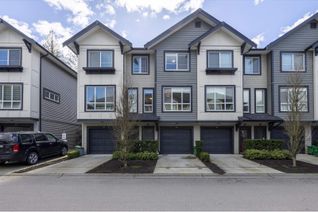 Townhouse for Sale, 8570 204 Street #43, Langley, BC