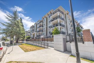 Condo Apartment for Sale, 20686 Eastleigh Crescent #205, Langley, BC