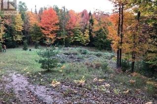 Commercial Land for Sale, 1805 Bay Lake Rd, Bancroft, ON