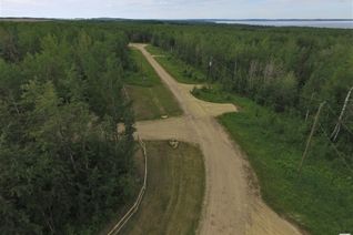 Commercial Land for Sale, 3 13070 Twp Rd 464, Rural Wetaskiwin County, AB