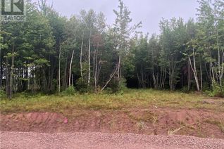Vacant Residential Land for Sale, Lot Roseau, Lakeburn, NB