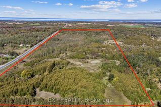 Vacant Residential Land for Sale, N/A Park Rd, Georgina, ON
