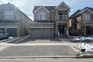 Property for Rent, 216 Vellore Park Ave #Bsmt, Vaughan, ON
