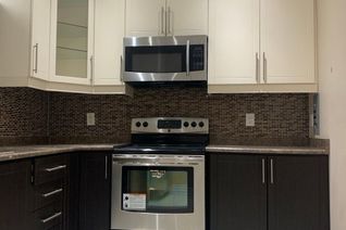 Apartment for Rent, 119 Leyburn Ave #Basment, Richmond Hill, ON