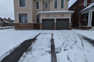 House for Rent, 66 Portland St, Collingwood, ON