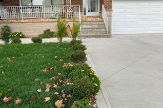 Detached House for Rent, 525 Cullen Ave #Bsmt, Mississauga, ON