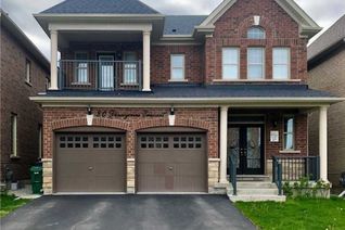 Detached House for Rent, 80 Pennycross Cres #(Bsmt), Brampton, ON