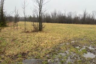 Vacant Residential Land for Sale, Lot 4 Hickory Beach Rd, Kawartha Lakes, ON