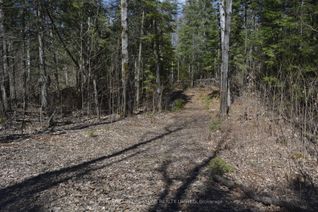 Vacant Residential Land for Sale, Lt 27 Con 13, Hastings Highlands, ON