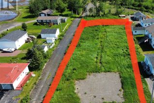 Commercial Land for Sale, 226 Main Street, Embree, NL