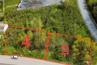 Commercial Land for Sale, 4 Pond Road, Embree, NL