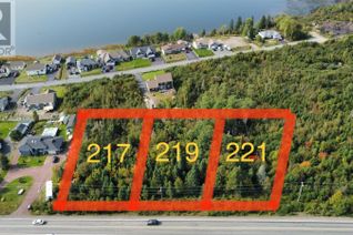 Land for Sale, 217 Road To The Isles, Lewisporte, NL