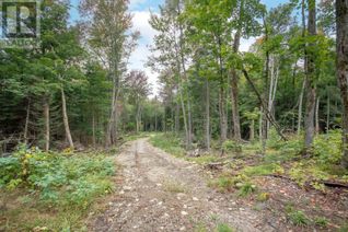 Property for Sale, 0 Highway 518, McMurrich/Monteith, ON