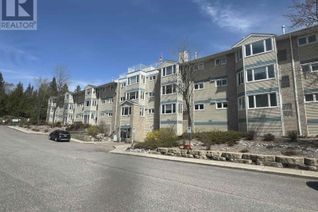 Condo Apartment for Sale, 207 500 Toledo Street, Thunder Bay, ON