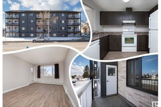 Condo Apartment for Sale, 205 14808 26 St Nw, Edmonton, AB