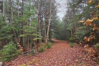 Commercial Land for Sale, 0 King Lake Road, South River, ON