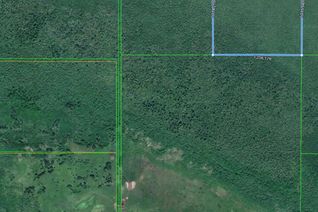 Land for Sale, Pcl 19617 Fadden Rd, RAINY RIVER, ON