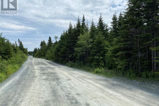 Land for Sale, 19-21 Maggies Place, Portugal Cove St Phillips, NL