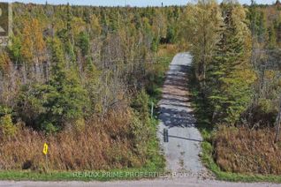 Commercial Land for Sale, 0 Simcoe St N, Kawartha Lakes, ON