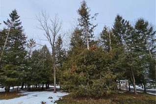Commercial Land for Sale, Lot 24 60 Robert Street S, Wasaga Beach, ON