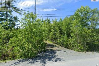Commercial Land for Sale, 79 Birch Bear Run, Lewis Lake, NS