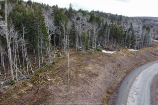 Vacant Residential Land for Sale, 20-55 Orchard Ave, Irishtown, NB