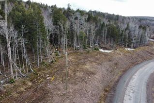 Commercial Land for Sale, 20-55 Orchard Avenue, Irishtown, NB