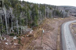 Vacant Residential Land for Sale, 20-54 Orchard Ave, Irishtown, NB