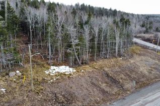 Vacant Residential Land for Sale, 20-52 Orchard Ave, Irishtown, NB
