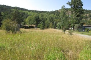 Vacant Residential Land for Sale, Lot 1 Government Avenue N, Greenwood, BC