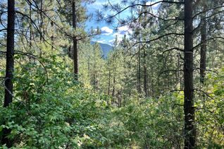 Vacant Residential Land for Sale, Lot 11 Evans Rd, Creston, BC