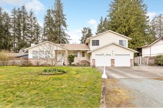 House for Sale, 3883 204a Street, Langley, BC
