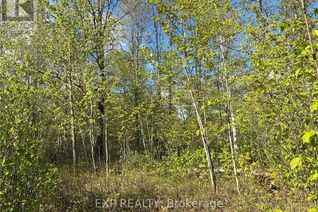 Land for Sale, Lot 6 Casson Trail, Madawaska Valley, ON