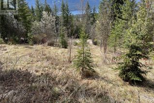 Commercial Land for Sale, Lot 397 Aspen Road, Anglemont, BC