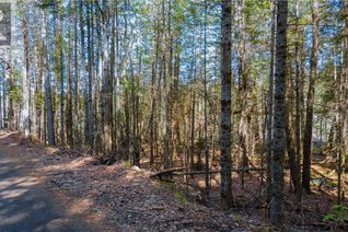 Commercial Land for Sale, 20352 Highway 60 Highway, Barry's Bay, ON