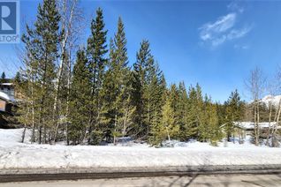 Land for Sale, 105 Deerborne Drive, Elkford, BC