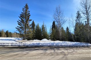 Vacant Residential Land for Sale, 55 Dawson Crescent, Elkford, BC