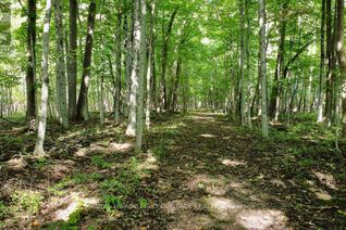Land for Sale, . Line Seven South Line S, Oro-Medonte, ON