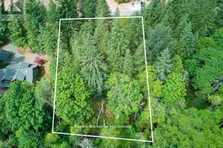 Commercial Land for Sale, Lot 3 York Rd, Campbell River, BC