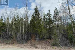 Land for Sale, Lot 5 Starview Road, Valemount, BC