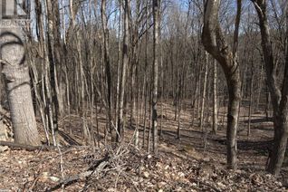 Commercial Land for Sale, 0 South Muskoka Drive, Bracebridge, ON