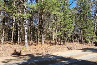 Commercial Land for Sale, 0 Dwight Beach Road, Dwight, ON