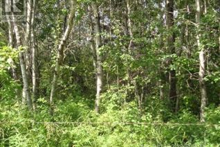 Land for Sale, Parcel E Marie Hanson Rd, Brightsand Lake, SK