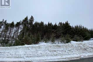 Land for Sale, 89-95 Pouch Cove Line, Pouch Cove, NL